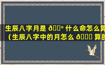 生辰八字月是 💮 什么命怎么算（生辰八字中的月怎么 🍀 算的）